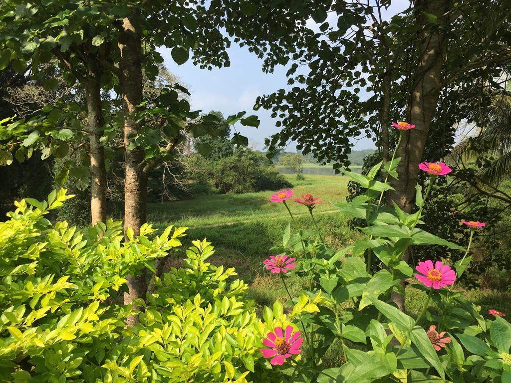 Blue Lake Ridge Maha Oya エクステリア 写真