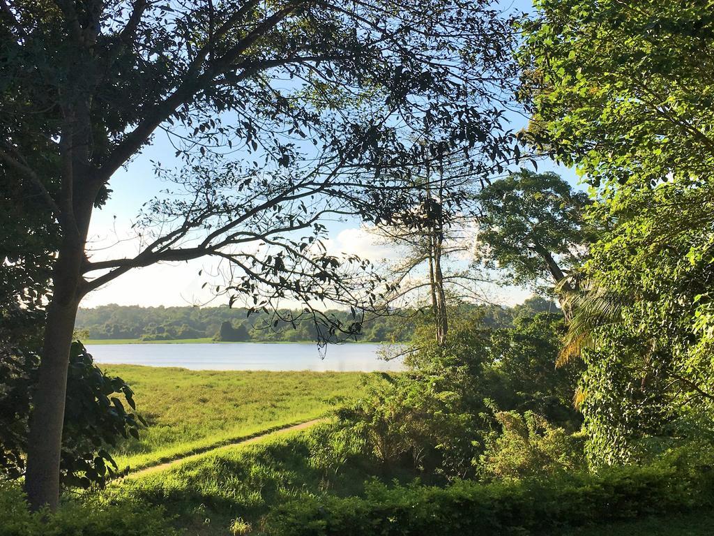 Blue Lake Ridge Maha Oya エクステリア 写真