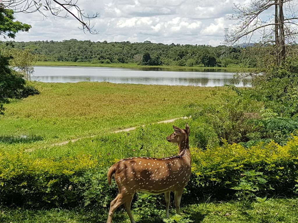 Blue Lake Ridge Maha Oya エクステリア 写真